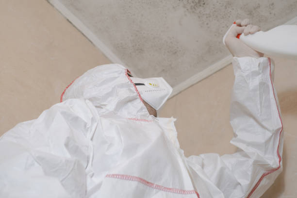 Water Damage Restoration in Hooper, NE